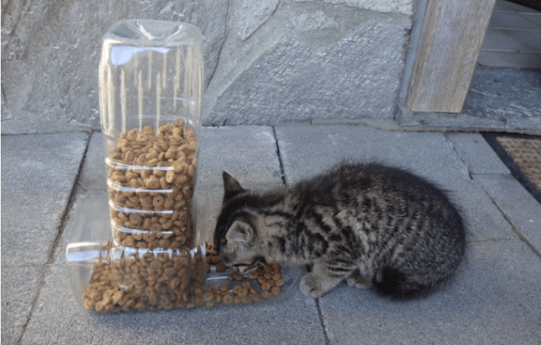 Làm khay đựng đồ ăn cho thú cưng từ chai nhựa cũ