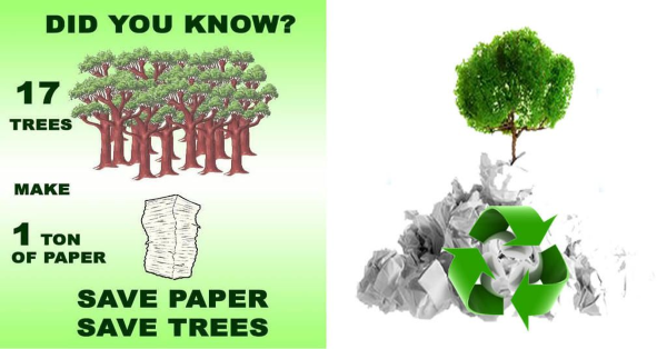Để sản xuất ra 1 tấn giấy cần 17 cây xanh. Tái chế giấy chính là bảo vệ cây.